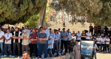 بالفيديو والصور  عشرات الآلاف يؤدون صلاة الجمعة في المسجد الأقصى وباحاته