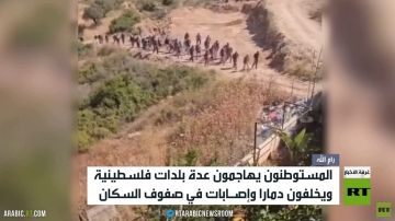 المستوطنون يهاجمون قرى فلسطينية المستوطنون يهاجمون قرى فلسطينية