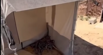 بالفيديو  يتجاوز طوله مترا.. شاب يواجه ثعبانا داخل خيمته في مواصي خانيونس جنوب قطاع غزة