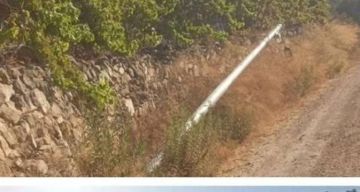 مستوطنون يقطعون ويتلفون أعمدة الكهرباء في بيتلو غرب رام الله مستوطنون يقطعون ويتلفون أعمدة الكهرباء في بيتلو غرب رام الله