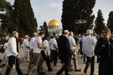 جماعات الهيكل تحشد لأكبر اقتحام للأقصى وتحذيرات من تغيير الوضع القائم جماعات الهيكل تحشد لأكبر اقتحام للأقصى وتحذيرات من تغيير الوضع القائم