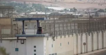 حنظلة يحذر من مشروع سجن التماسيح بحق الأسرى حنظلة يحذر من مشروع سجن التماسيح بحق الأسرى