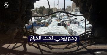 زقوت يحذر من انهيار كامل وتام للمنظومة البيئية والصحية في غزة زقوت يحذر من انهيار كامل وتام للمنظومة البيئية والصحية في غزة