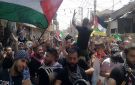 شاهد لليوم الخامس.. آلاف الفلسطينيين يتظاهرون في لبنان ضد قرار وزارة العمل - ps