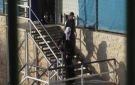 خاص هيئة إسلامية لـ شهاب: سجون الاحتلال تضم كافة صنوف النساء الفلسطينيات وسط حرمان طبي دائم وعزل تام