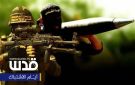 المقاومة تقصف نوعا وليس كما
