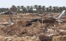 زراعة غزة تكشف بالأرقام خسائر القطاع الزراعي خلال حرب الإبادة