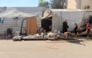 خاص بالصور بين الحطب والكتب.. رحلة نيفين بعد الحرب في غزة