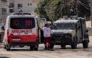 أمهات يحتضن الغياب: حكايات الأمل المجهد في أزقة فلسطين