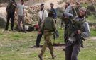 مستوطنون يهاجمون قرية المغير في رام الله - ps