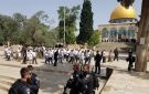  حماس تدعو للنفير دفاعا عن الأقصى وتحذر من مخططات الجماعات المتطرفة