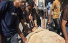 شهيد و10 مصابين في قصف استهدف خيام النازحين بمواصي خان يونس - ps