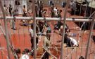 مركز حنظلة يحذر من تفشي مرض الجرب بين الأسرى في سجون الاحتلال