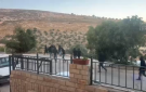 مستوطنون يهاجمون منازل الفلسطينيين في قرية دير جرير شرق رام الله (فيديو)