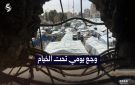 زقوت يحذر من انهيار كامل وتام للمنظومة البيئية والصحية في غزة - ps
