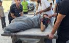 بالفيديو والصور 8 شهداء و20 مصابا في مجزرة إسرائيلية استهدفت مشيعي شهيد بمخيم النصيرات