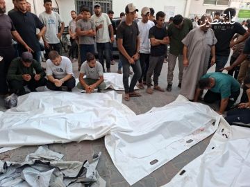 حماس: مجزرة شاطئ غزة استهتار بدعوات وقف إطلاق النار حماس: مجزرة شاطئ غزة استهتار بدعوات وقف إطلاق النار