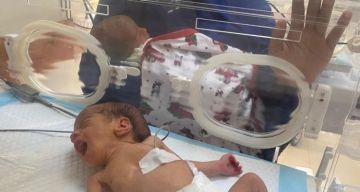 طبيب بمجمع ناصر: انقطاع الأكسجين يهدد حياة الأطفال الخدج طبيب بمجمع ناصر: انقطاع الأكسجين يهدد حياة الأطفال الخدج