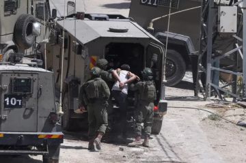 الاحتلال يعتقل 14 فلسطينيا والمستوطنون يحرقون ممتلكات ويقتلعون أشجارا الاحتلال يعتقل 14 فلسطينيا والمستوطنون يحرقون ممتلكات ويقتلعون أشجارا