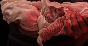 خبيرة أنثروبولوجيا: محاولات إسرائيل تجنيد المؤثرين جاءت بنتائج عكسية خبيرة أنثروبولوجيا: محاولات إسرائيل تجنيد المؤثرين جاءت بنتائج عكسية