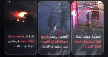 بالفيديو  
