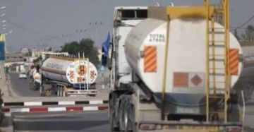 هيئة البترول في غزة: تحديث معايير الاستفادة من غاز الطهي لا يشمل الأرامل وأبناء المتوفين هيئة البترول في غزة: تحديث معايير الاستفادة من غاز الطهي لا يشمل الأرامل وأبناء المتوفين