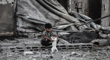 دحلان: كوشنر أبلغنا باتفاقه مع إسرائيل لوقف الاعتداءات على غزة اعتبارا من صباح الأحد دحلان: كوشنر أبلغنا باتفاقه مع إسرائيل لوقف الاعتداءات على غزة اعتبارا من صباح الأحد