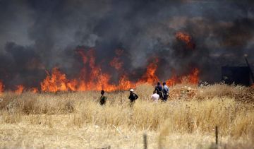 المستوطنون يقفون وراء نحو 89 من حرائق ممتلكات الفلسطينيين بالضفة المستوطنون يقفون وراء نحو 89 من حرائق ممتلكات الفلسطينيين بالضفة