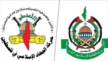 لقاء بين قيادتي حماس والجهاد في القاهرة لقاء بين قيادتي حماس والجهاد في القاهرة