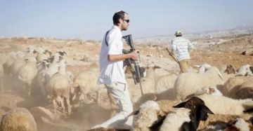 هجوم مستوطنين ببيت لحم.. إصابات وسرقة 220 رأس غنم