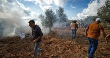 62 عملا مقاوما وشعبيا في الضفة والقدس خلال أسبوع 62 عملا مقاوما وشعبيا في الضفة والقدس خلال أسبوع
