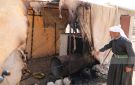 أحرقوا البيوت وكتبوا الموت للعرب .. ليلة دامية عاشتها خربة الطوبا - ps
