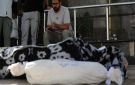 73400 شهيد في قطاع غزة منذ أكتوبر 2023