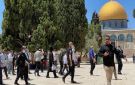 عشرات المستوطنين يقتحمون باحات الأقصى بحماية قوات الاحتلال