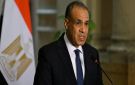 مصر وملادينوف يبحثان استكمال تنفيذ خارطة الطريق في غزة