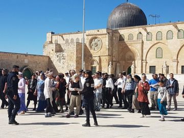 خلال أغسطس.. 8346 مستوطنا يقتحمون المسجد الأقصى خلال أغسطس.. 8346 مستوطنا يقتحمون المسجد الأقصى