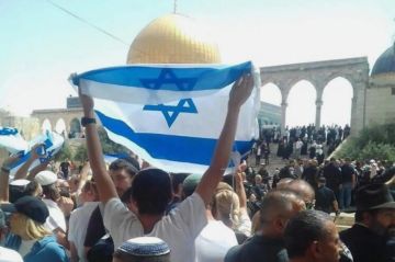 أغسطس الأسود في القدس.. شهيدان و8338 اقتحاما للأقصى أغسطس الأسود في القدس.. شهيدان و8338 اقتحاما للأقصى