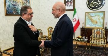 قاليباف وعراقتشي يستقبلان نعيم: تأكيد موقف إيران في دعم تحرير فلسطين قاليباف وعراقتشي يستقبلان نعيم: تأكيد موقف إيران في دعم تحرير فلسطين