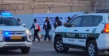 الصليب الأحمر: زيارات الأسرى في سجون الاحتلال لم تستأنف حتى الآن الصليب الأحمر: زيارات الأسرى في سجون الاحتلال لم تستأنف حتى الآن