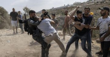 الاتحاد الدولي للعمال الزراعيين يعتمد قرارا لحماية المزارعين الفلسطينيين الاتحاد الدولي للعمال الزراعيين يعتمد قرارا لحماية المزارعين الفلسطينيين