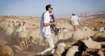 مستوطنون يحاولون سرقة أغنام خلال هجوم شرق بيت لحم مستوطنون يحاولون سرقة أغنام خلال هجوم شرق بيت لحم