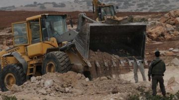 الاحتلال يجرف 250 دونما ويقتلع أشجار زيتون شرق جنين الاحتلال يجرف 250 دونما ويقتلع أشجار زيتون شرق جنين