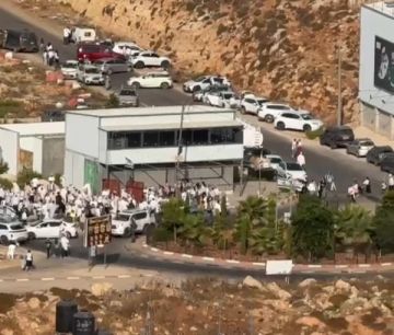 أعداد كبيرة من المستوطنين تقتحم بيتونيا وطريق جريوت غرب رام الله أعداد كبيرة من المستوطنين تقتحم بيتونيا وطريق جريوت غرب رام الله