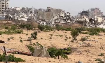 الأغا: 87.6 من الأراضي الزراعية تضررت بفعل العدوان في غزة الأغا: 87.6 من الأراضي الزراعية تضررت بفعل العدوان في غزة