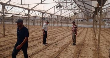 غلاء المستلزمات ونقصها يقلص زراعة خانيونس إلى النصف غلاء المستلزمات ونقصها يقلص زراعة خانيونس إلى النصف