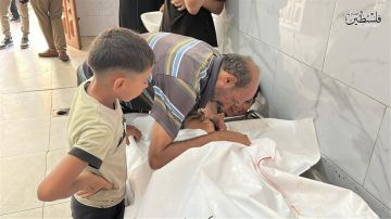 5 شهداء بينهم سيدتان وطفل .. الاحتلال يواصل قصفه واعتداءاته في غزة 5 شهداء بينهم سيدتان وطفل .. الاحتلال يواصل قصفه واعتداءاته في غزة