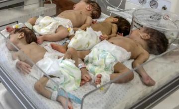 غزة تسجل 5493 مولودا و203 حالات وفاة خلال أغسطس غزة تسجل 5493 مولودا و203 حالات وفاة خلال أغسطس