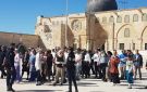 مئات المستوطنين يقتحمون الأقصى ويؤدون طقوسا تلمودية