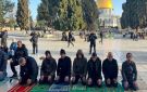 تقرير 800 قرار إبعاد في عام.. موسم الأعياد يعيد رسم مشهد الحضور الفلسطيني وهوية القدس - ps