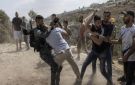 الاتحاد الدولي للعمال الزراعيين يعتمد قرارا لحماية المزارعين الفلسطينيين
